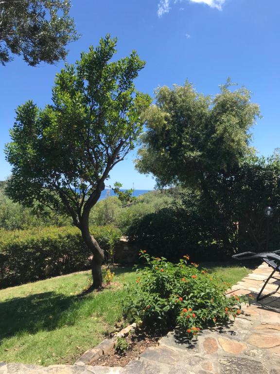 Domus Carlotta Apartment with sea view Villasimius - Bed and Breakfast Is Traias