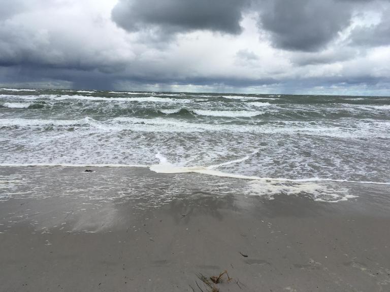 Abendruh Schmiedeberge - B&B Ostseebad Prerow