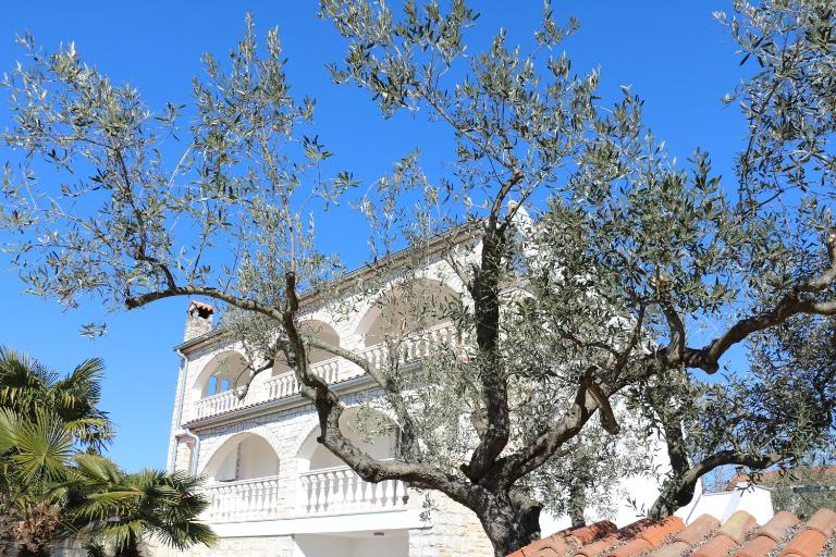Villa Kiki - Chambres d'hôtes Rovinj