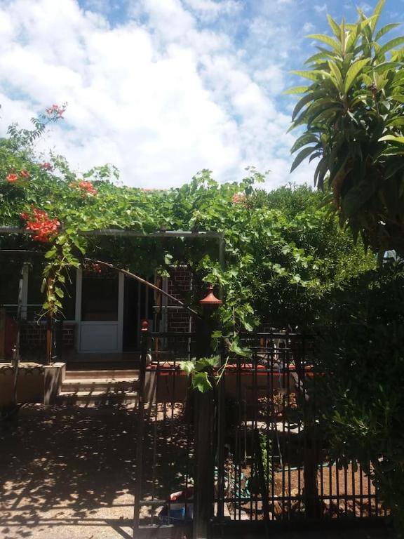 Casa di Diamanto - B&B Porto Rafti
