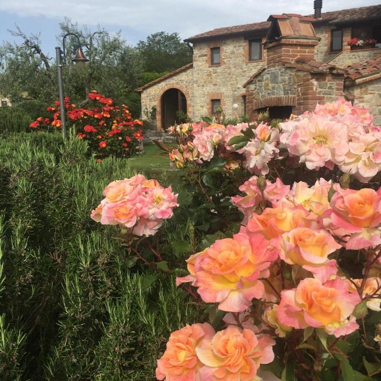 Agriturismo Valiana - Chambres d'hôtes Montegabbione
