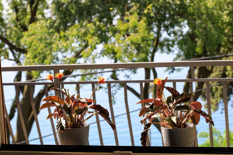 Magnon - B&B Fiume