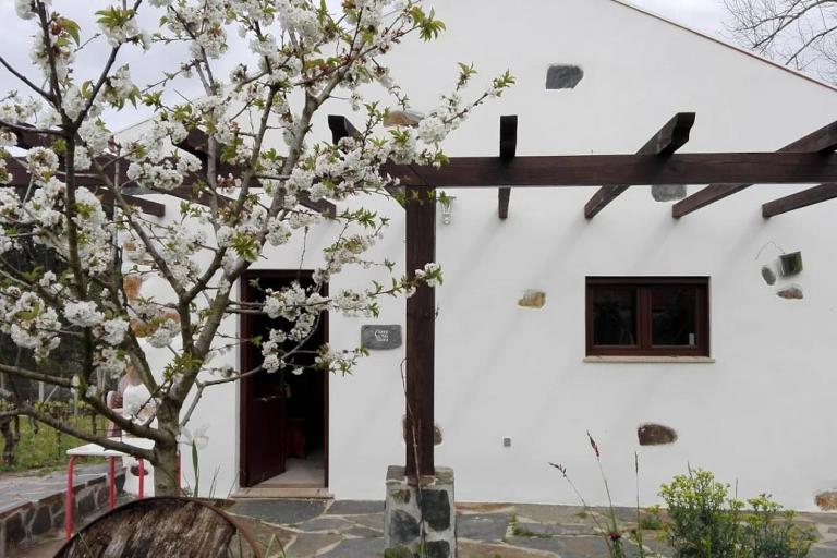 Casa da Tileira - Chambres d'hôtes Penacova
