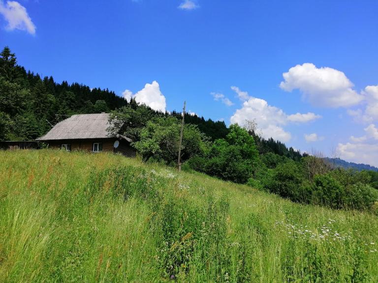 Cottage Svitanok - B&B Lopushne