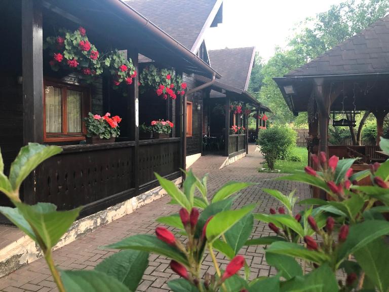 Pensiunea Galileo - B&B Borşa
