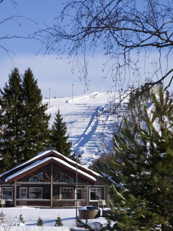 Himoshovi Cottages - Ferienwohnung Jämsä