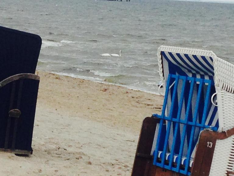 Blaumuschel Lubmin, Wohnung 9 - Bed and Breakfast Lubmin