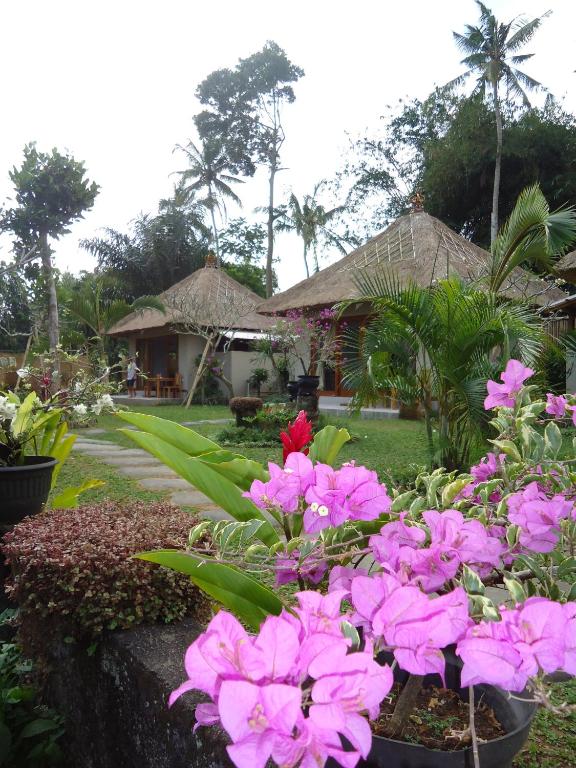 Suka's House Bed & Breakfast - Ferienwohnung Ubud