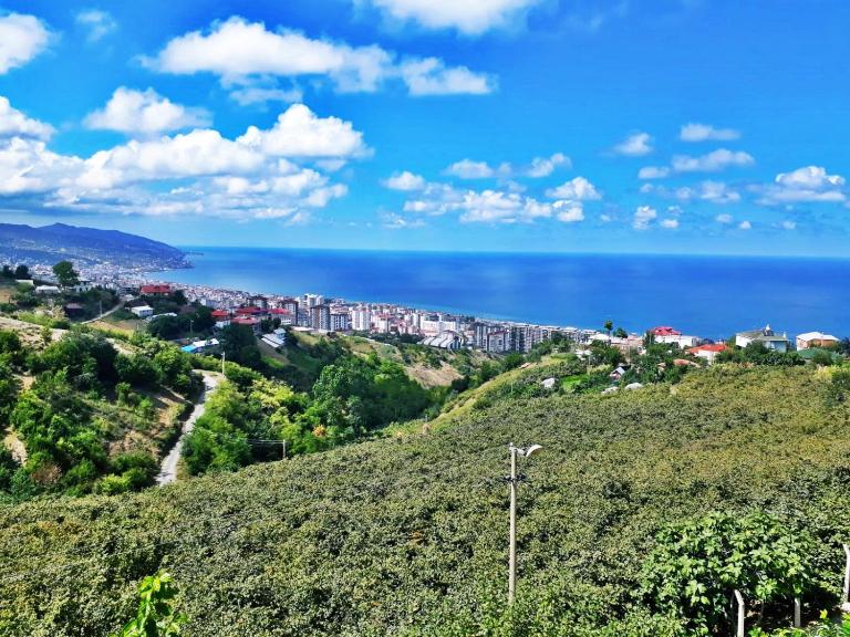 Paradise Villa Trabzon - B&B Trabzon