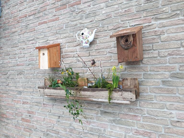 Ferienwohnung Vogelvilla - B&B Altenbeken
