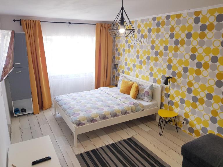 Dream Studio 2 Petrosani - Ferienwohnung Petroşani