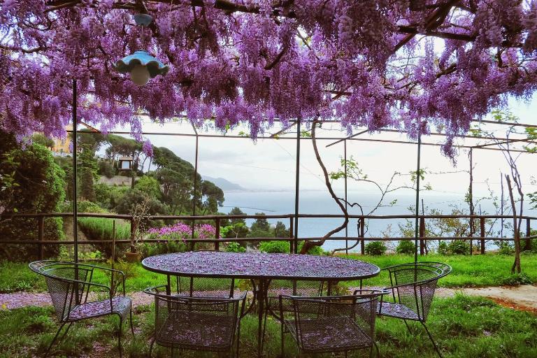 Villa Maria Antonietta - B&B Vietri sul Mare