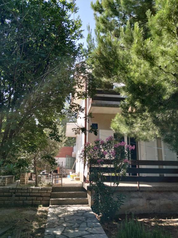 Danica Holiday House - B&B Cesarica