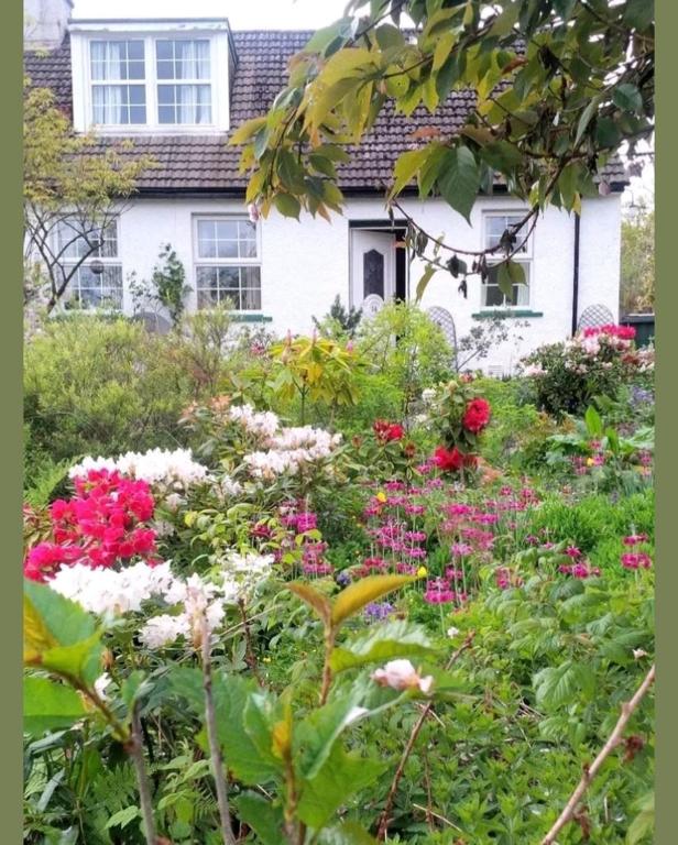 Argyllholidaycottage Loch Awe - B&B Eredine