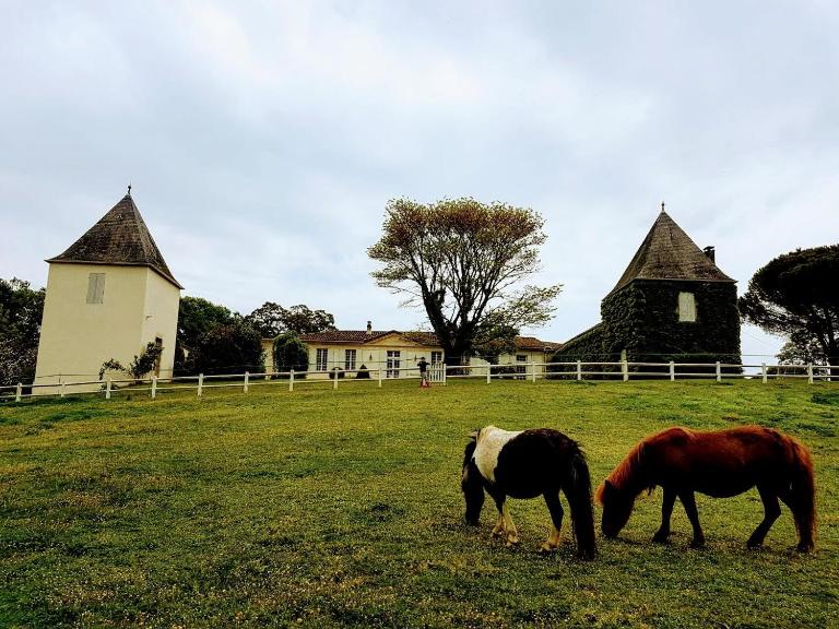 La Jouissiere - Chambres d'hôtes Soulignac