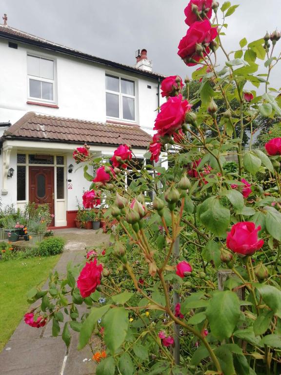Beechlands B & B - Bed and Breakfast Whitby