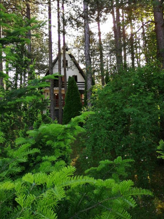 Vila Vera - B&B Zlatibor