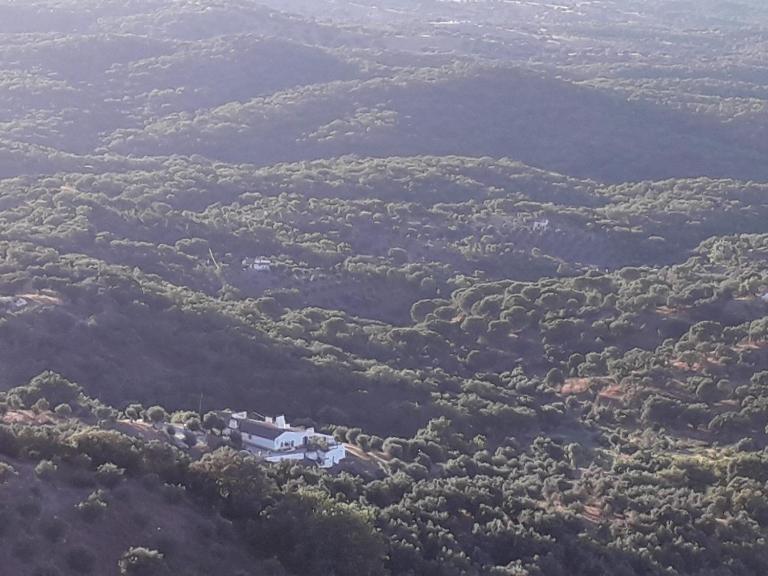 Quinta de Evoramonte - B&B Estremoz