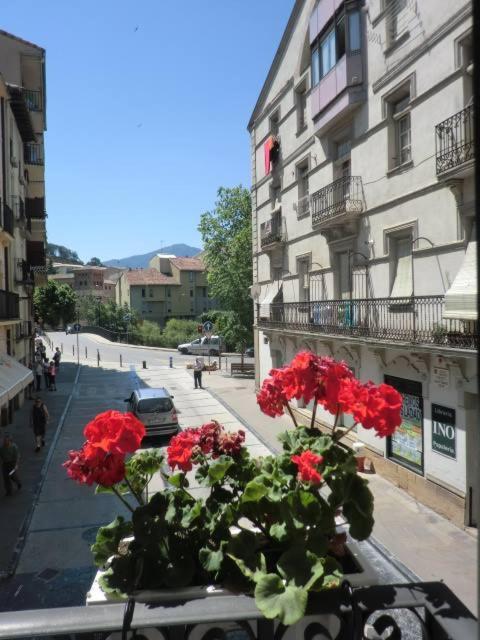 Eguzkilore - B&B Estella-Lizarra