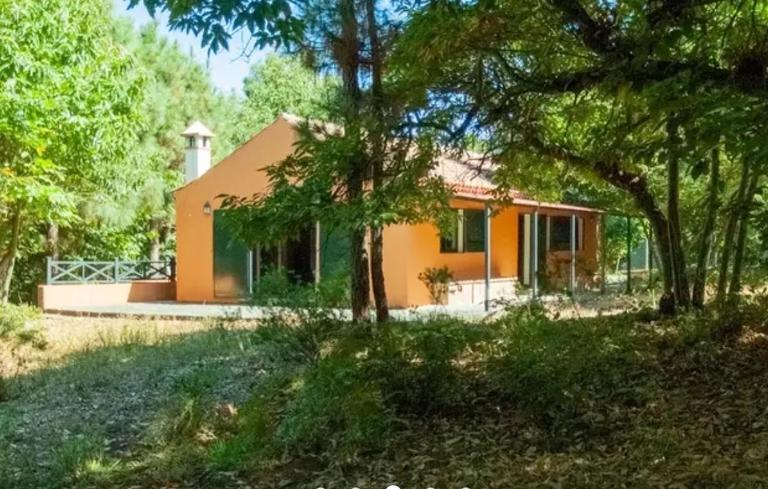 Finca La Casita - B&B La Orotava