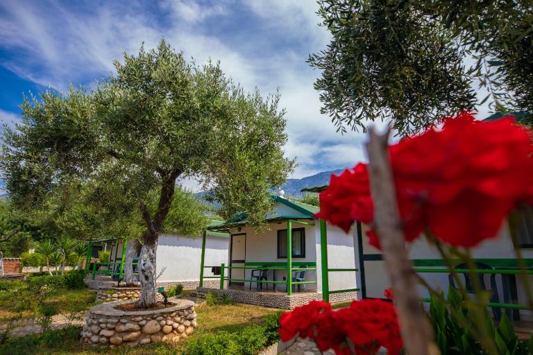 Chalet Ambel - B&B Dhërmi