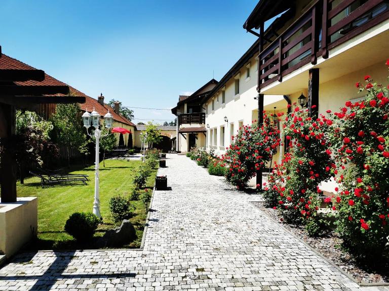 Pensiunea Casa Moga - B&B Bucium