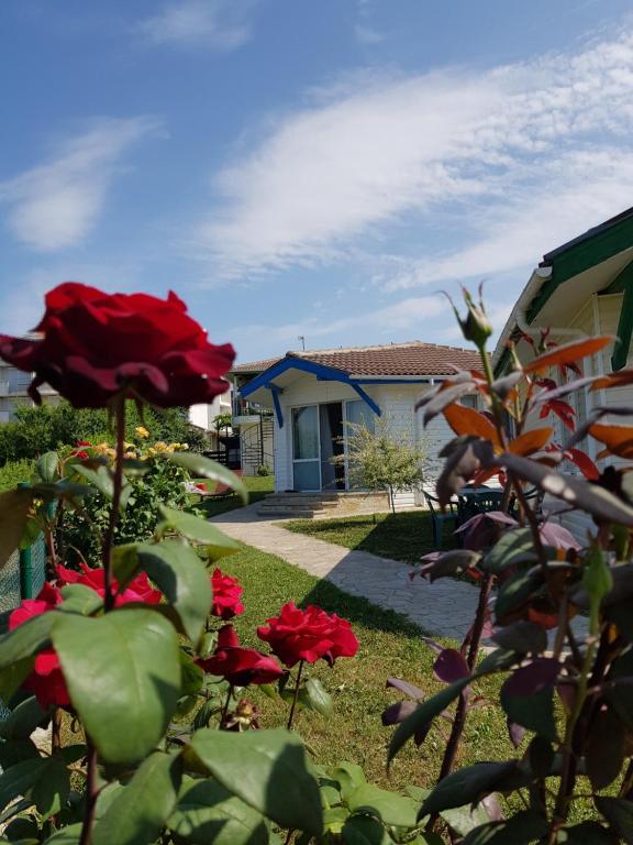 Villa Veneta - B&B Sinemorec
