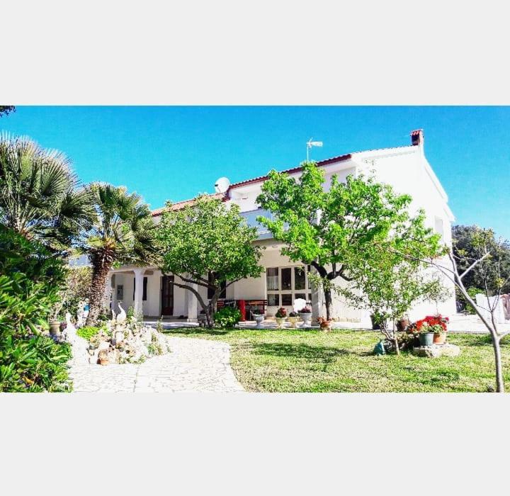 Apartman Miljenko - Matovica - B&B Kampor