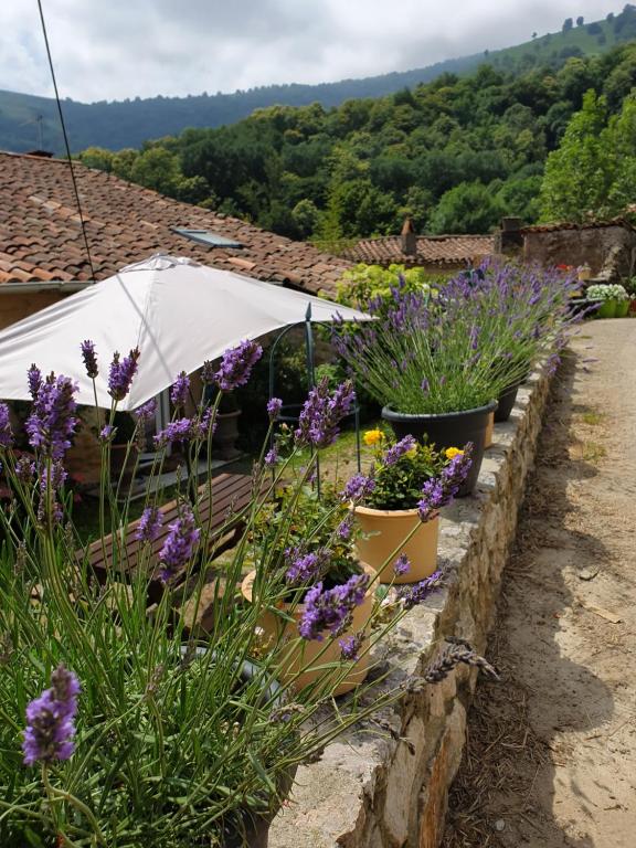 Gite De Charme - B&B Ganac