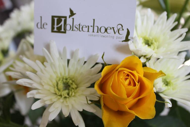 De Holsterhoeve - Bed and Breakfast Beringen