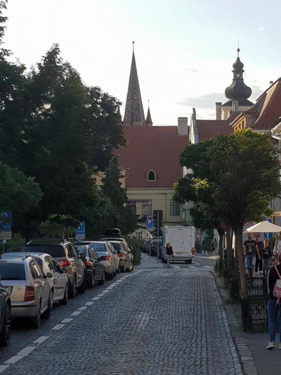 Stefy Central - B&B Sibiu