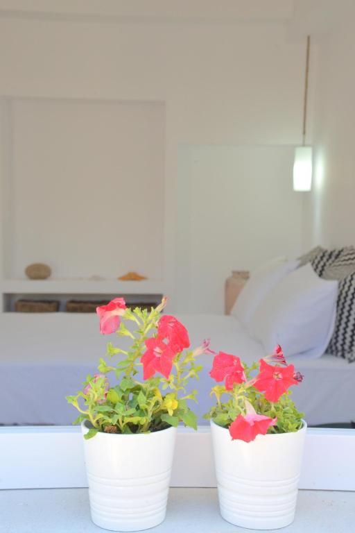 La casa de Zag - B&B Adamantas