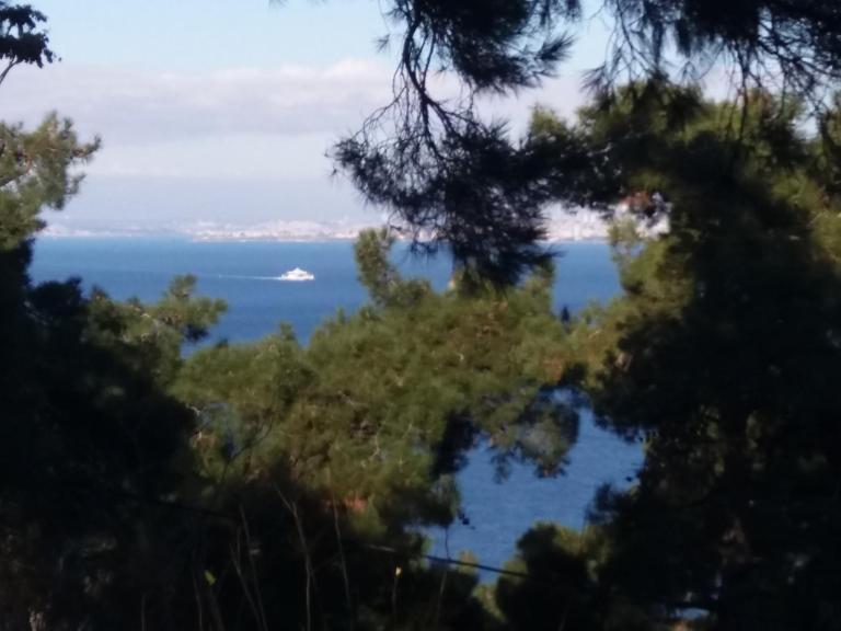 Apartament Ada - B&B Adalar