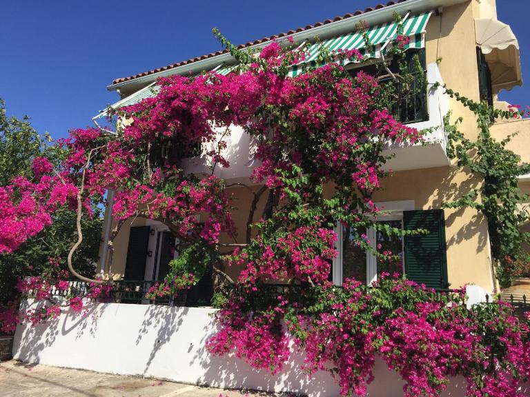 Casa Buganvilla - B&B Minia