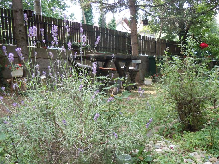 Apartmani Sobe BILJANA - Chambres d'hôtes Aranđelovac