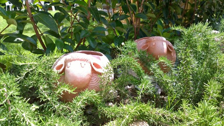 Le Pecore di Terracotta - B&B Pesaro