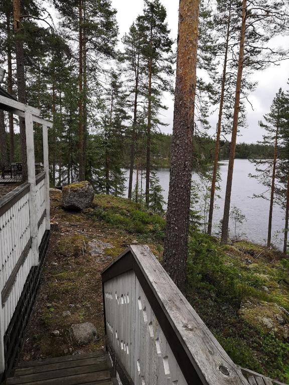 Tontti - B&B Petääjärvi