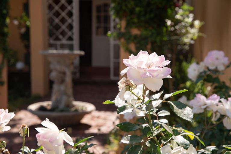 Roses and Pebbles B & B Guest House - B&B Klerksdorp