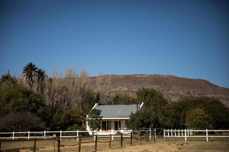 Acacia Cottage - B&B Prince Albert
