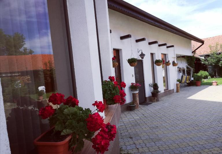 Dridif 135 - B&B Dridif