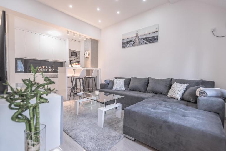 Apartman Danica No.2 - Chambres d'hôtes Banja Koviljača