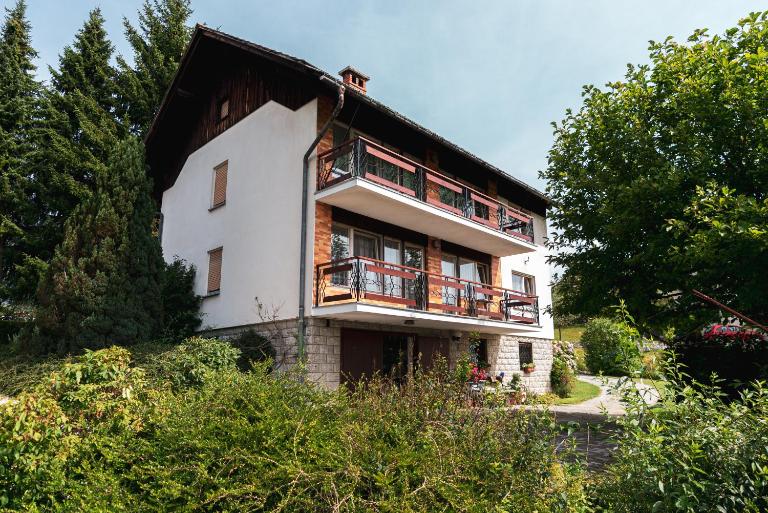 Apartmaji Retro - Bed and Breakfast Spodnje Gorje