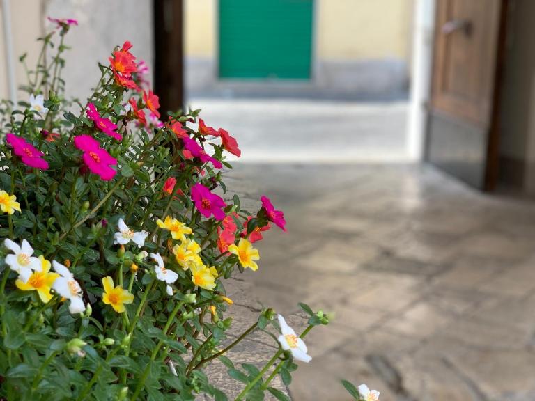 B&B La Corte - B&B Santa Maria Capua Vetere