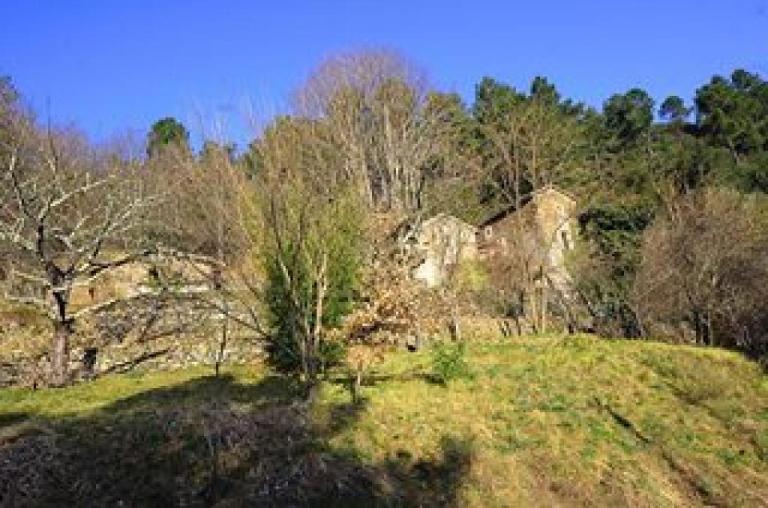 Le mas des sources cevenol Le chambon - Ferienwohnung Chambon