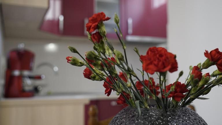 Priko Cetine - B&B Omiš