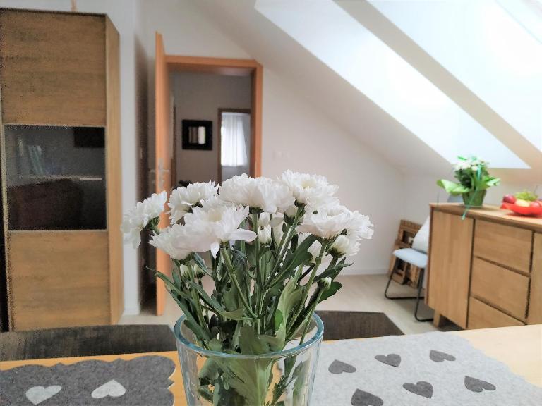 Design Residence -Garden & Comfort - Chambres d'hôtes Bratislava