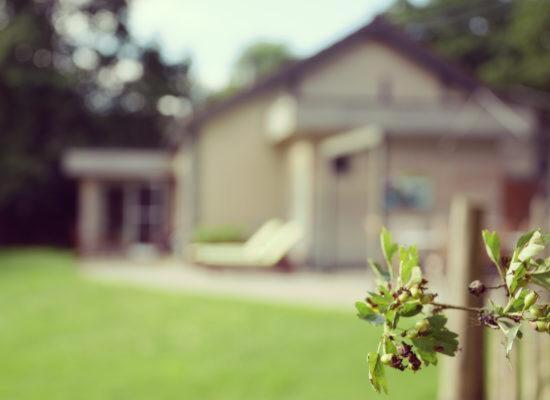 La Brindille - B&B Durbuy