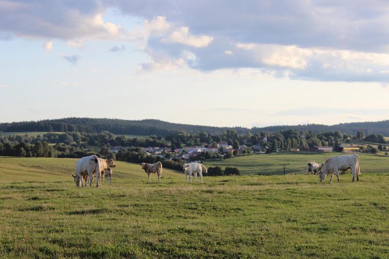 Čtyři pokoje - B&B Tachov