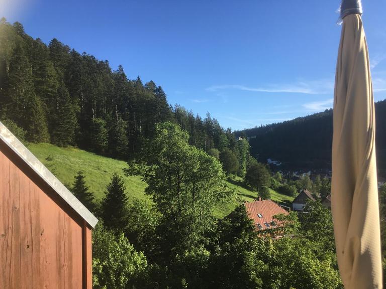 Zum Schwalbennest - B&B Todtmoos