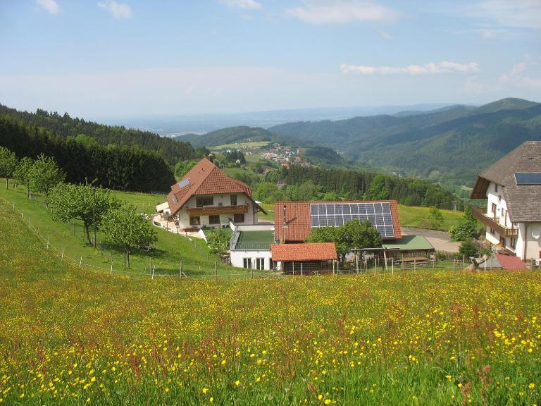 Reeshof - B&B Horben